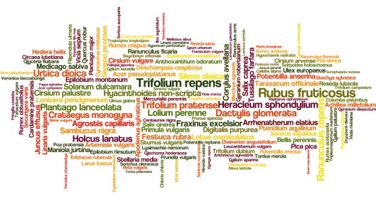 160505 Scientific names