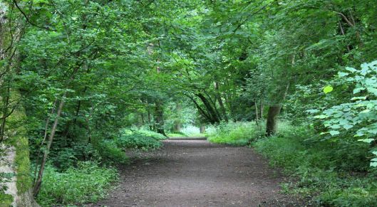 160612 heath park (1)