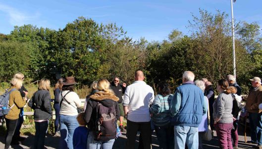 161009-uk-fungus-day-3