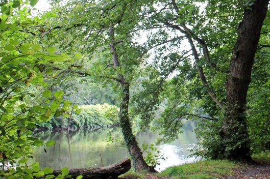 161024-taff-on-160915