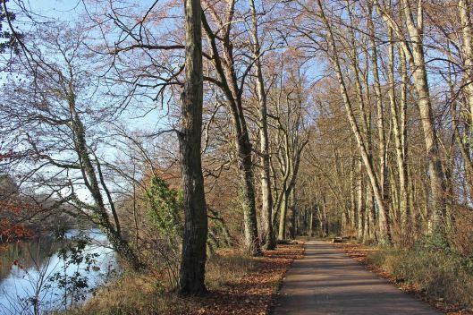 161204a-taff-trail-1