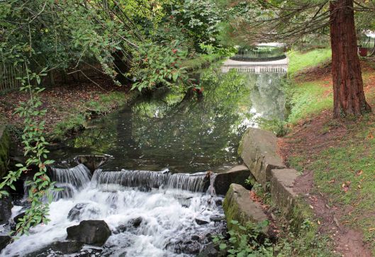 170109-roath-brook-150924