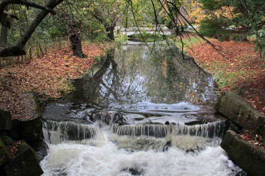 170109-roath-brook-151107