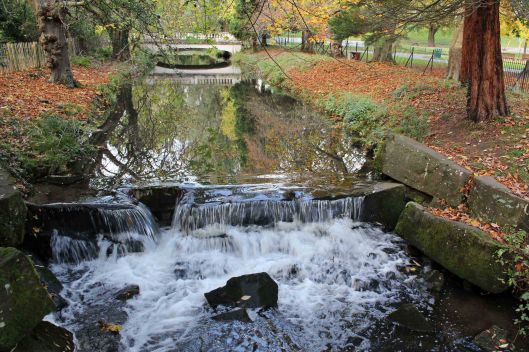 170109-roath-brook-161109