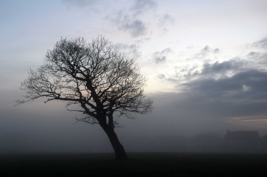 170125-penarth-fog-1