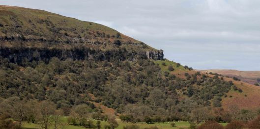 170410 Craig Y Cilau NNR (4)