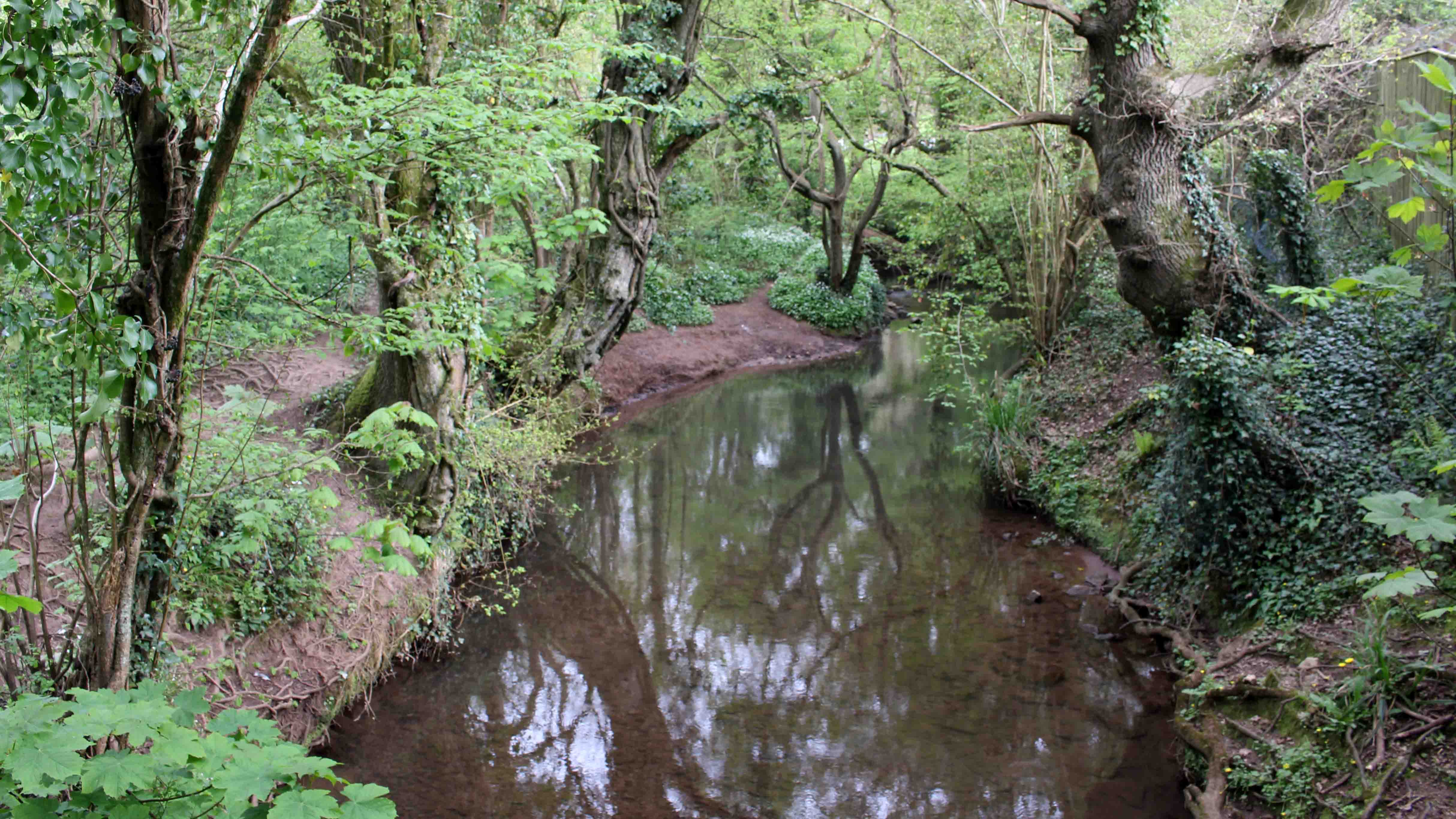 170421 Cwm George walk (1)