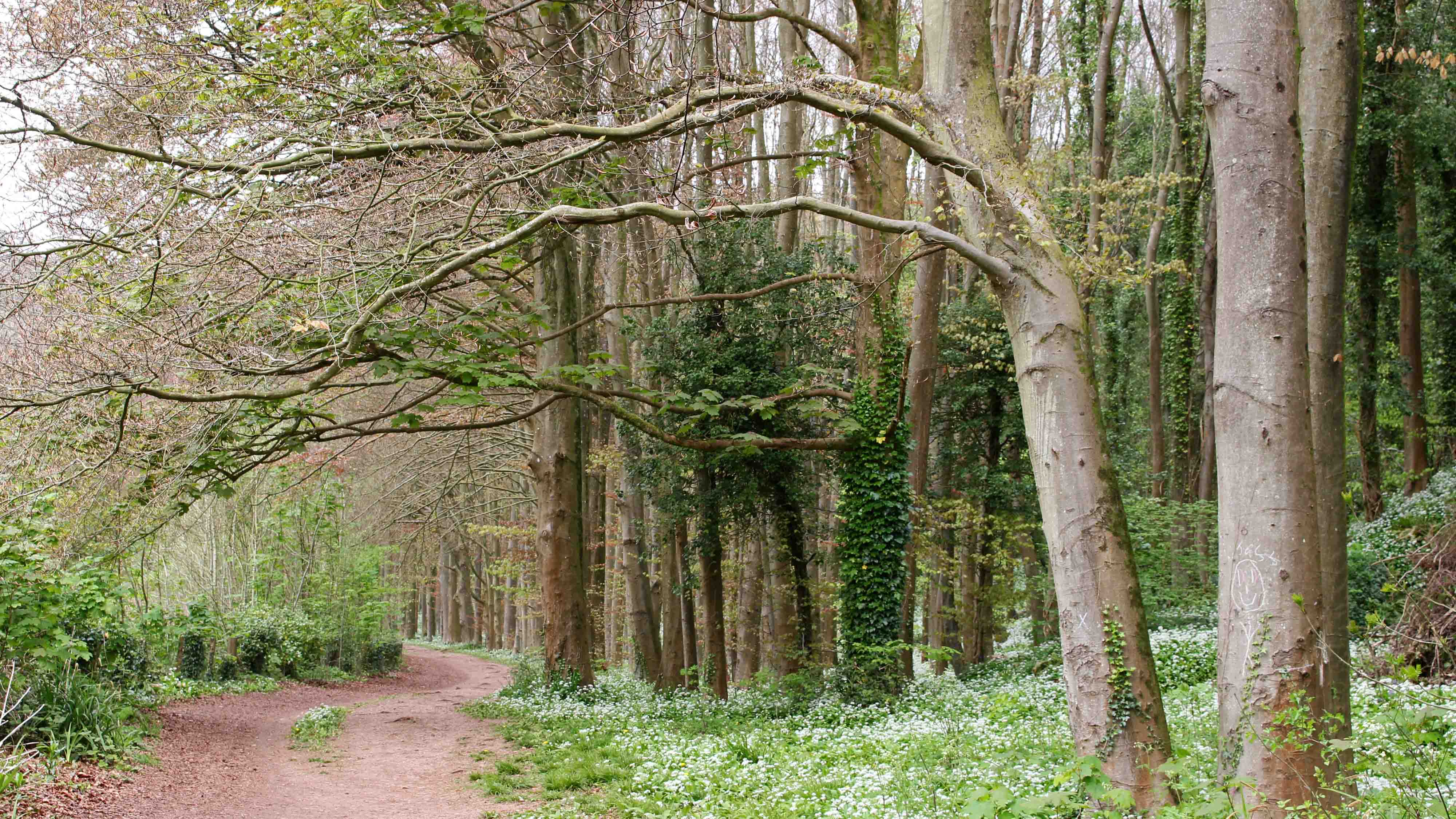 170421 Cwm George walk (2)