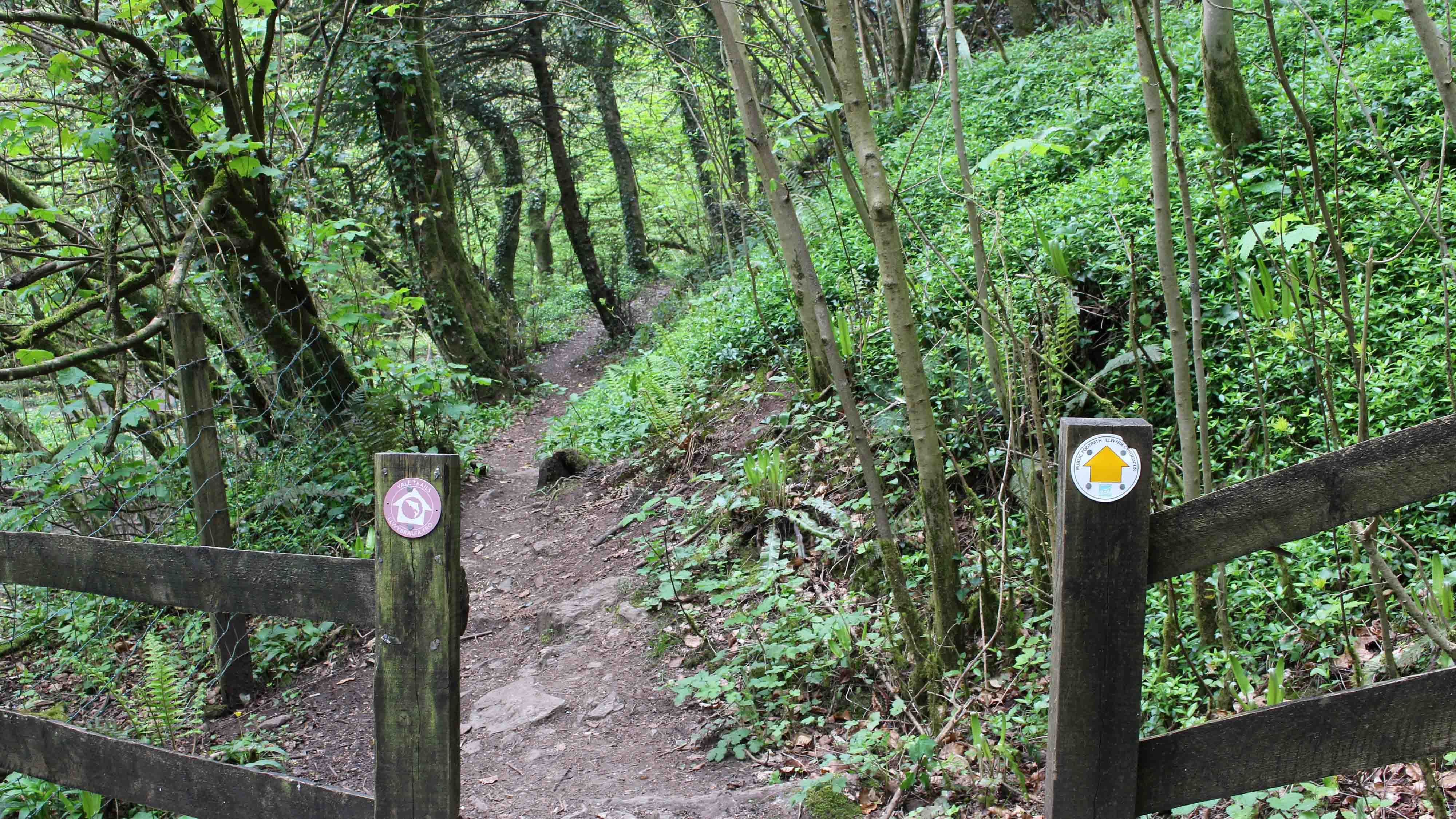 170421 Cwm George walk (6)