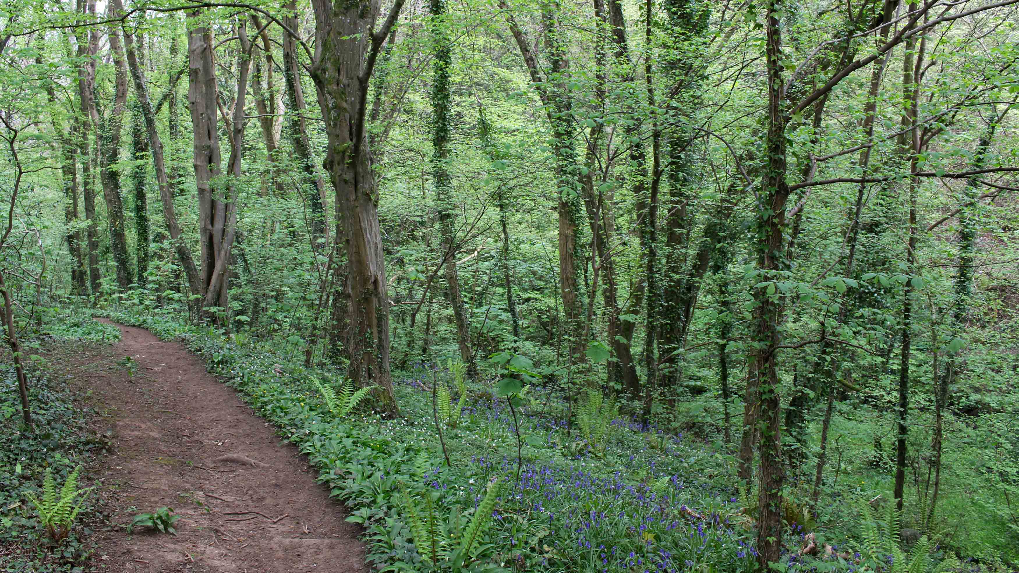 170421 Cwm George walk (7)