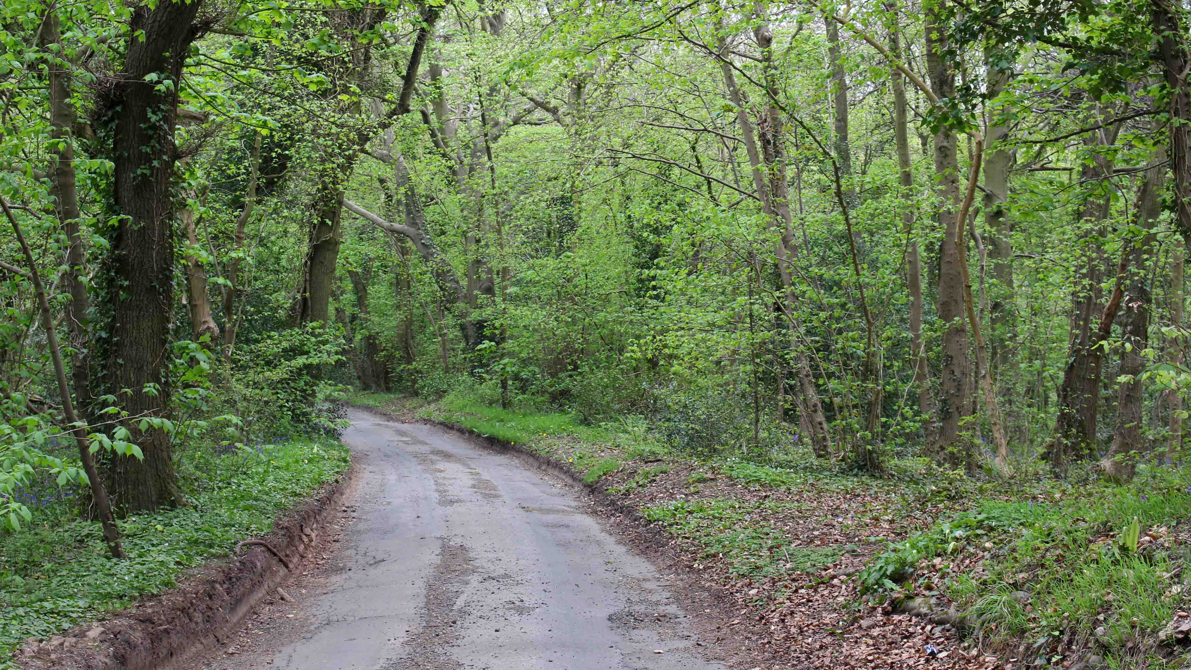 170421 Cwm George walk (9)