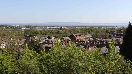 170423 Botany walk in Barry (4)