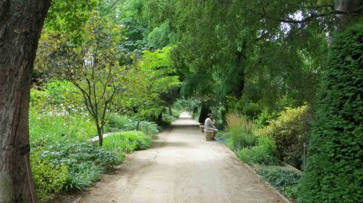 170517 Royal Botanic Garden Madrid (9)