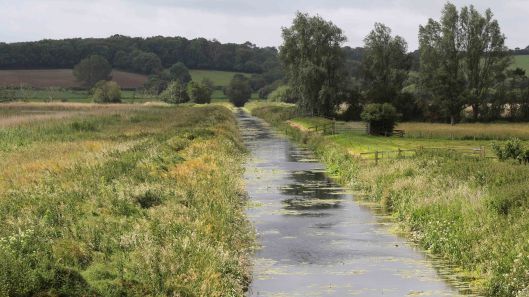 170612 RSPB Ham Wall