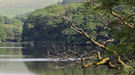 170625 Lliw Reservoirs (1)