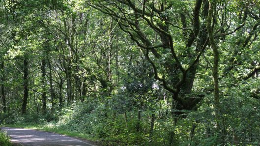 170625 Lliw Reservoirs (2)