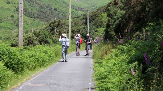170625 Lliw Reservoirs (3)