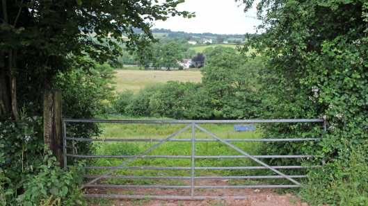 170628 ST3990 square-bashing (2)