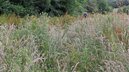 170628 ST3990 square-bashing (3)