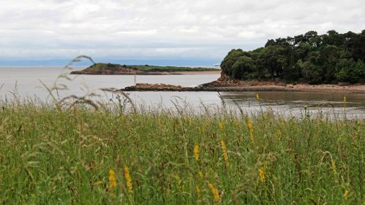 170701 Lavernock Reserve (2)