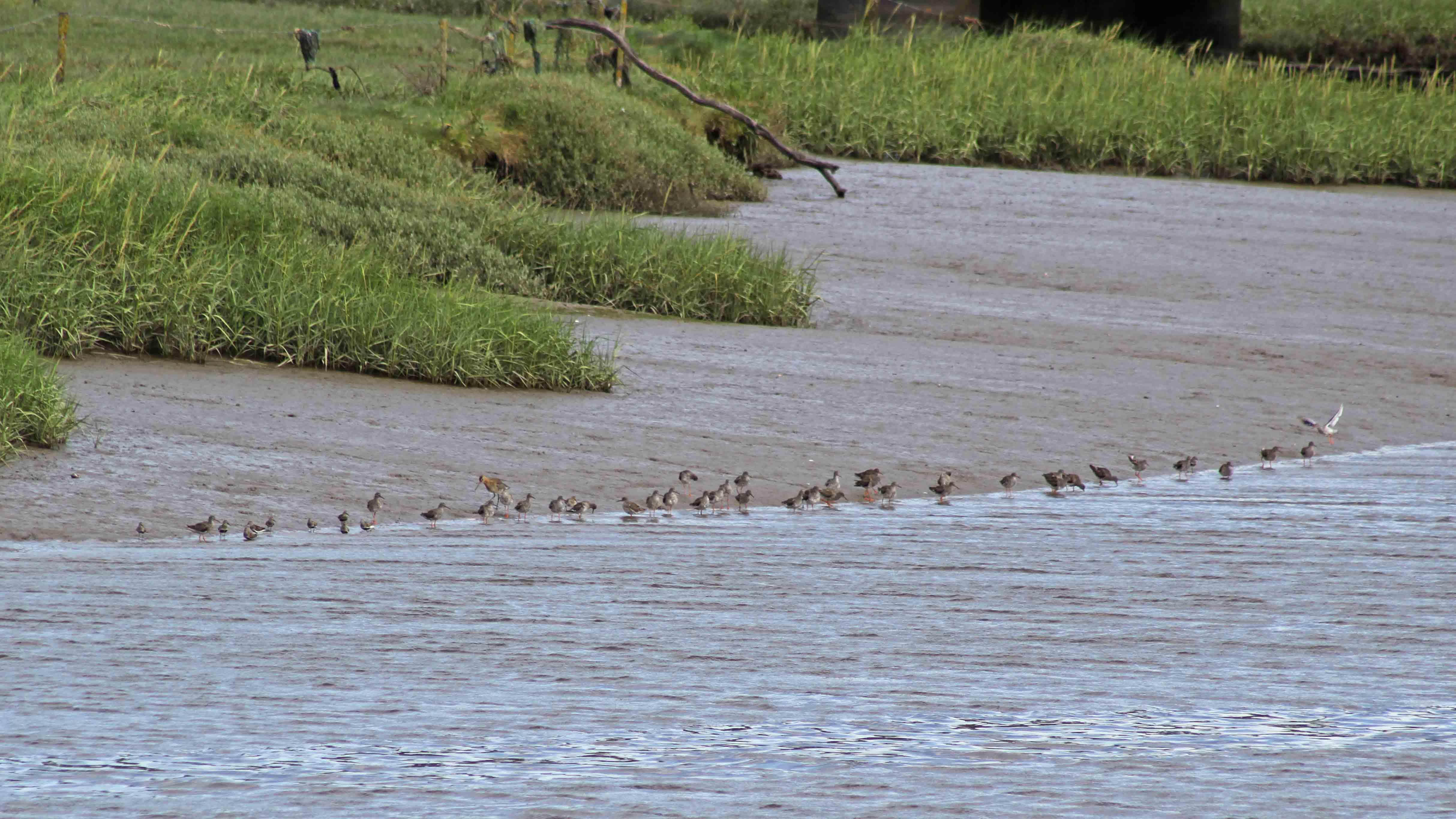 170731 Kidwelly Quay (1)