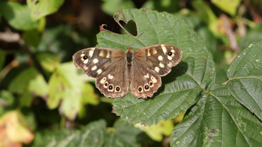 171008 mini challenge