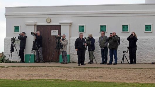 171023 Seawatching birders