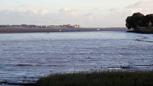 171119 River Exe (1)