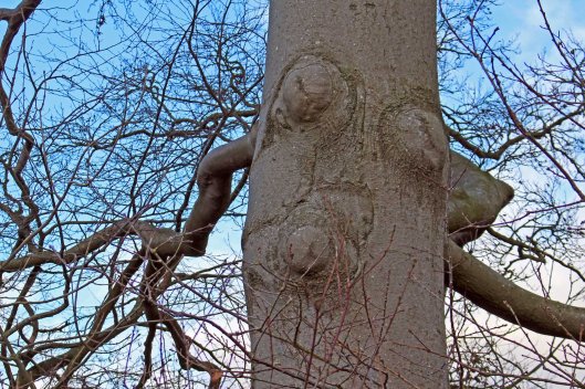 171220 pareidolia (3)