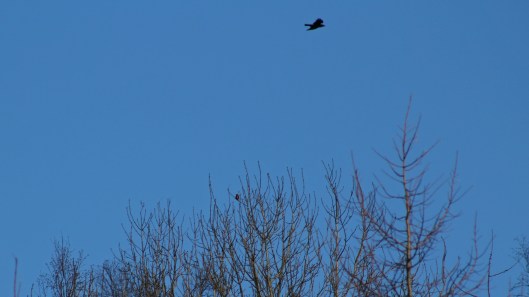 171204 Parc Cwm Darran (7)