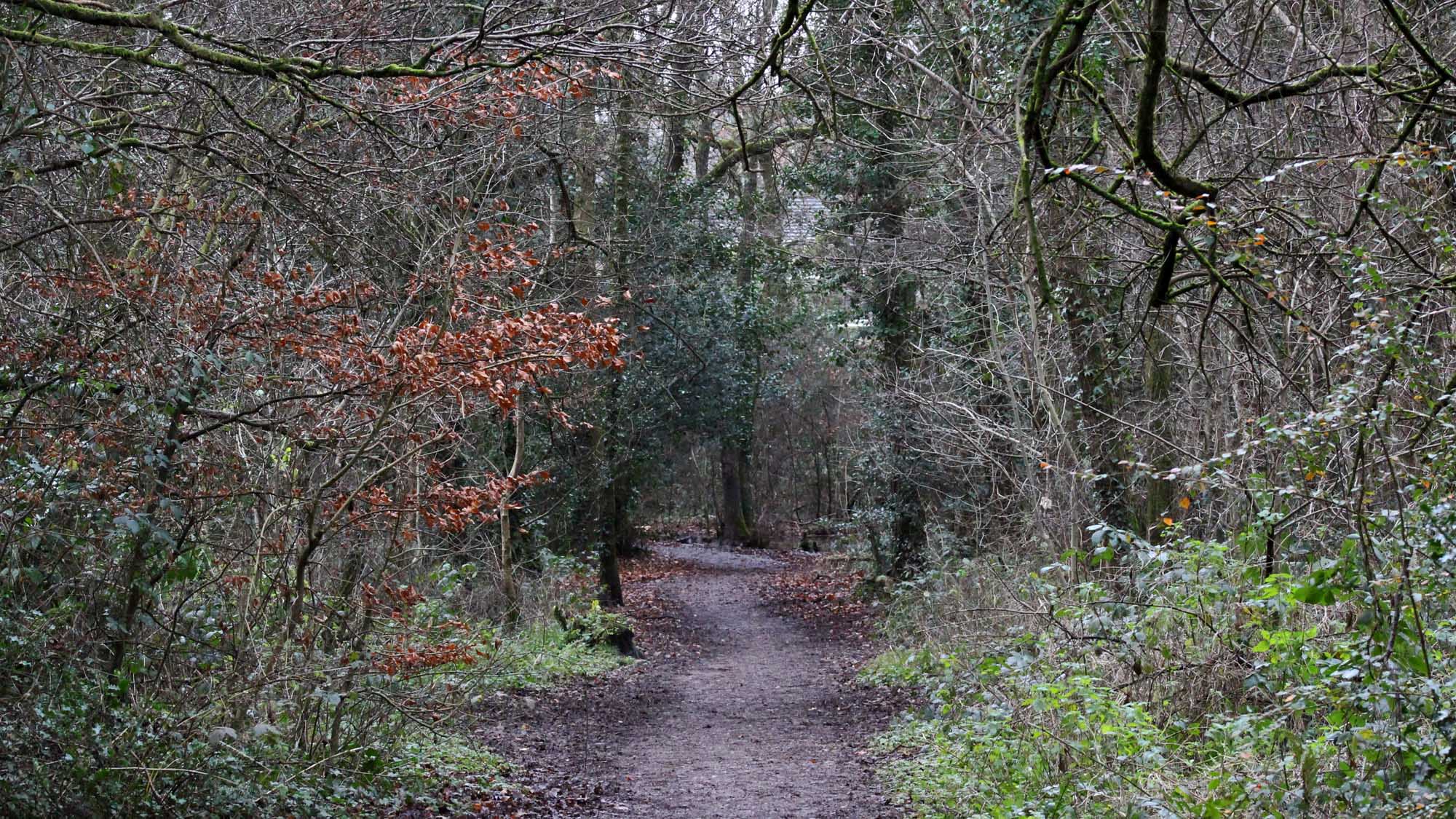 171212 Nant Fawr (1)