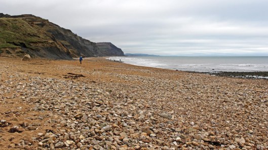 180106 Charmouth fossils (1)