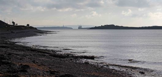 180206 Sully stroll (1)