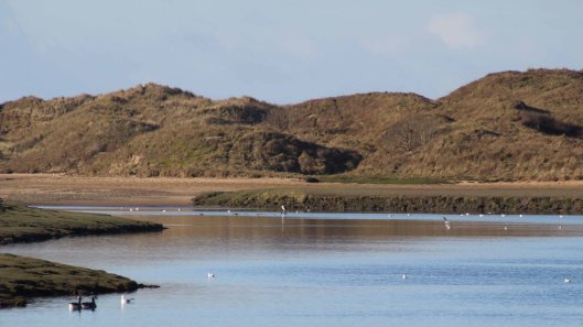 180211 Birding at Ogmore & Kenfig (2)