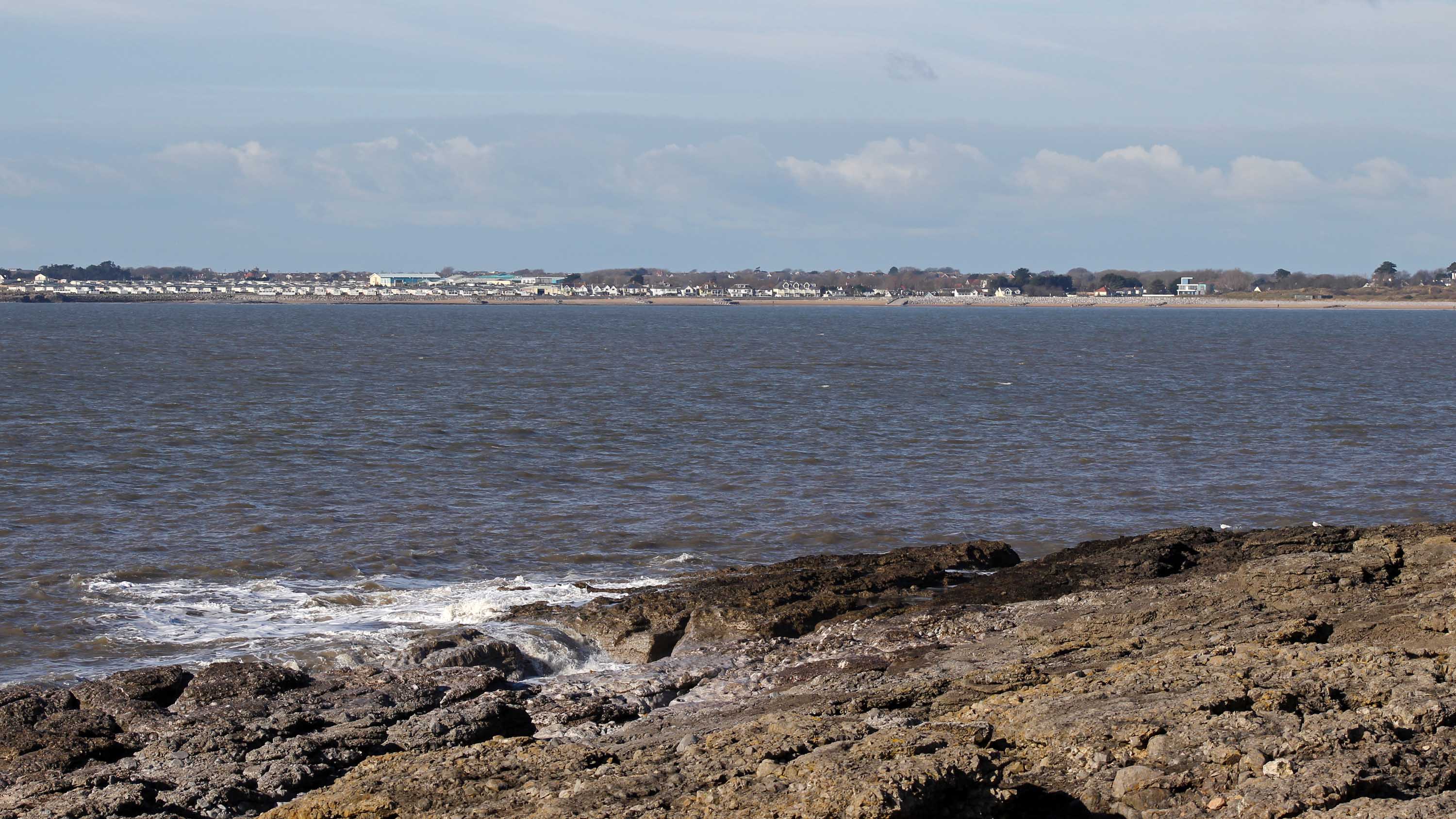 180211 Birding at Ogmore & Kenfig (5)