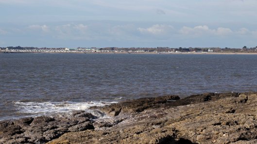 180211 Birding at Ogmore & Kenfig (5)