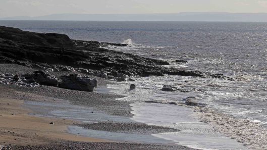 180211 Birding at Ogmore & Kenfig (6)