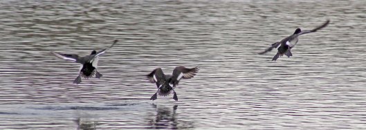 180211 Off on holiday