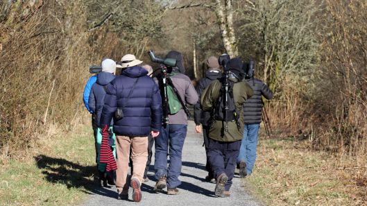 180302 Tregaron Bog (2)
