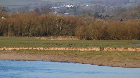 180302 Tywi Valley (1)