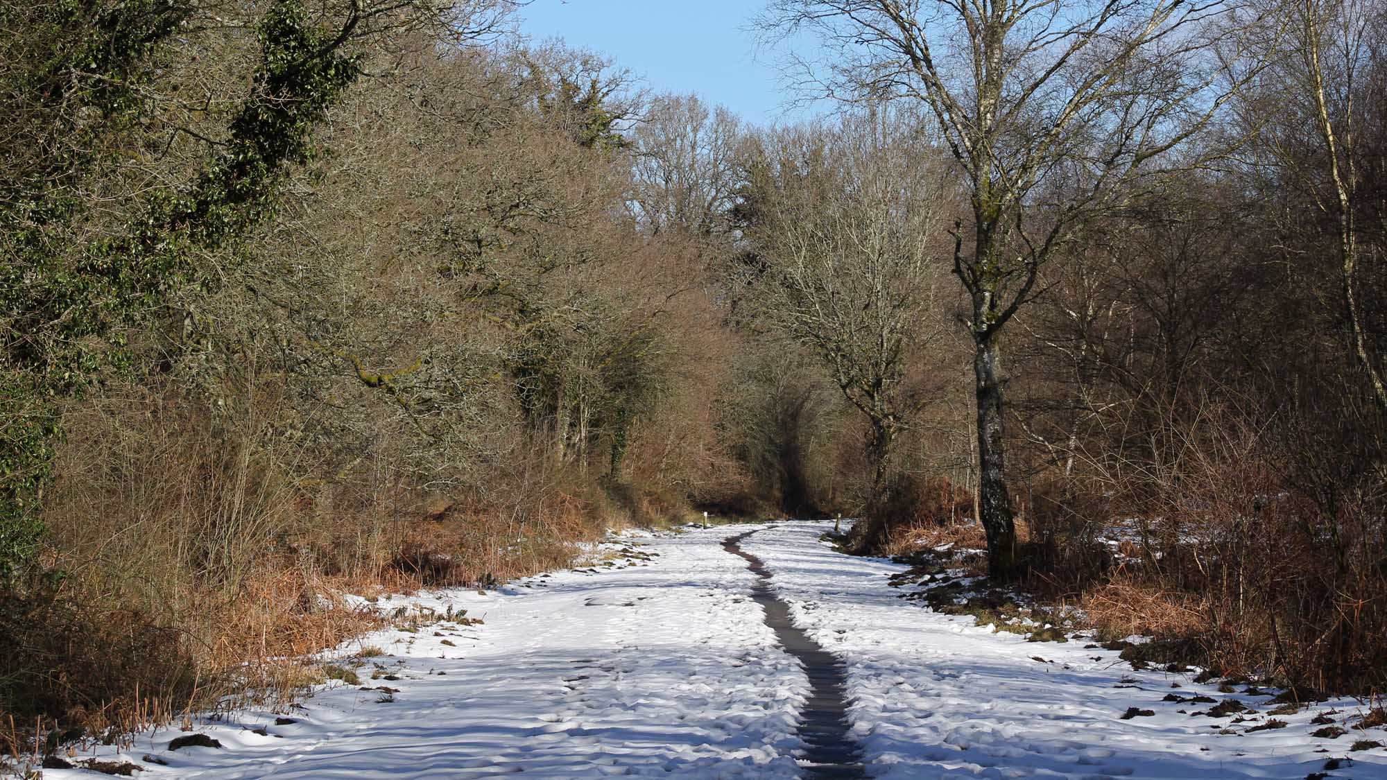 180310 snowy landscape (2)