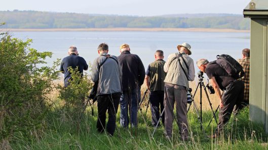 180512 At East Chevington Nature Reserve