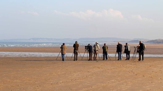 180512 Seawatching at Druridge Bay