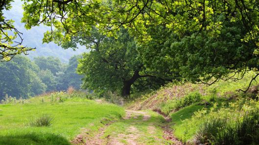 180525 St Davids Vale (1)