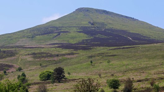 180525 St Davids Vale (5)