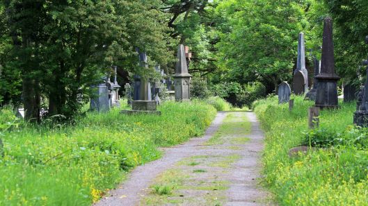 180601 (1) Cathays Cemetery