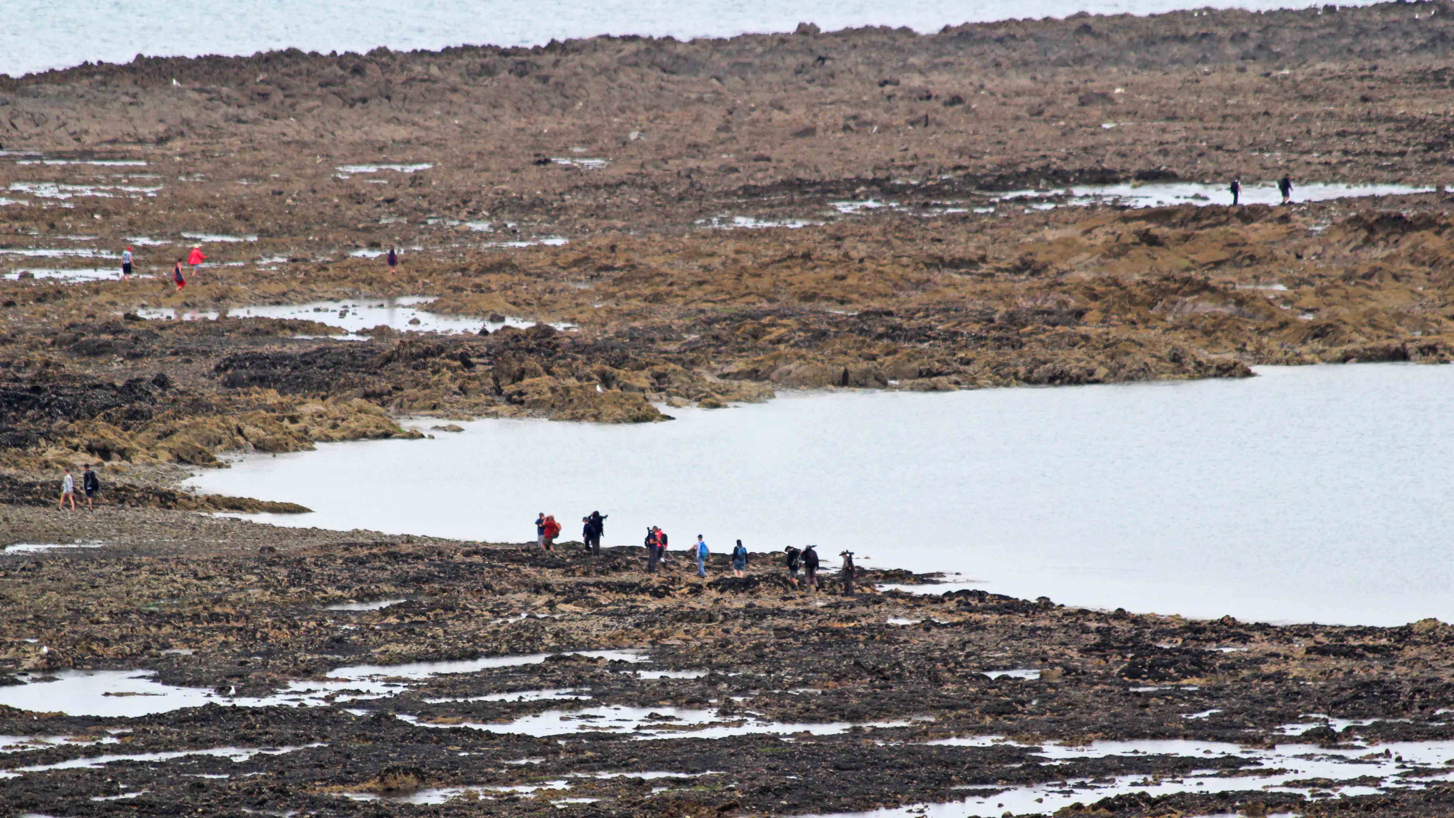 180702 7 Crossing to The Worm