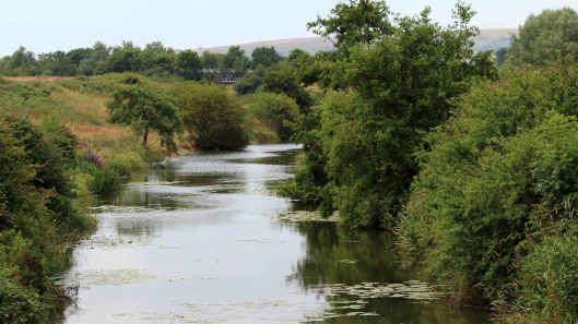 180801 Arlington stream