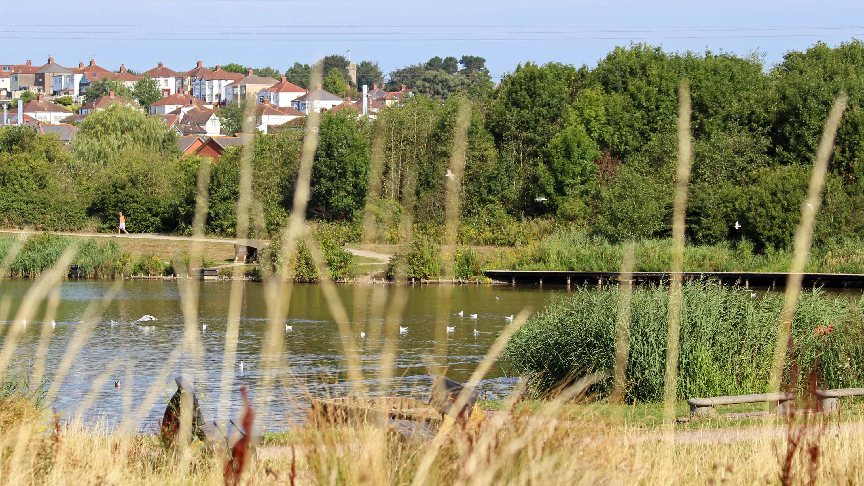 180807a Parc Tredelerch