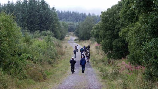 180823 birding at Garwnant (1)